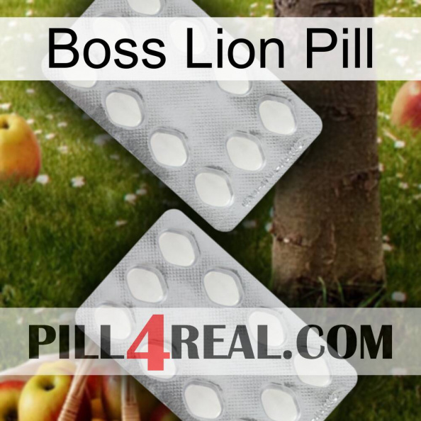 Boss Lion Pill 17.jpg